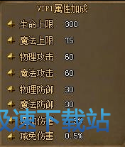 VIP介绍