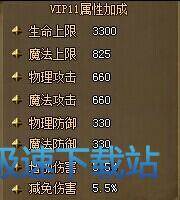 VIP介绍