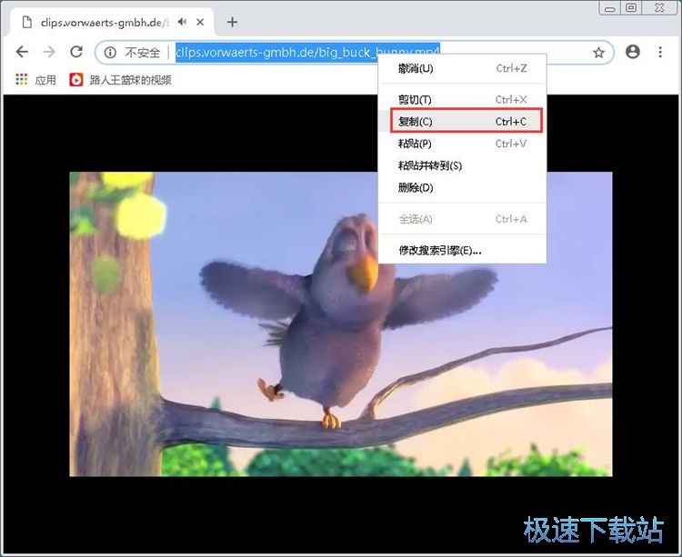 转换在线视频格式教程