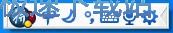 设置向导教程