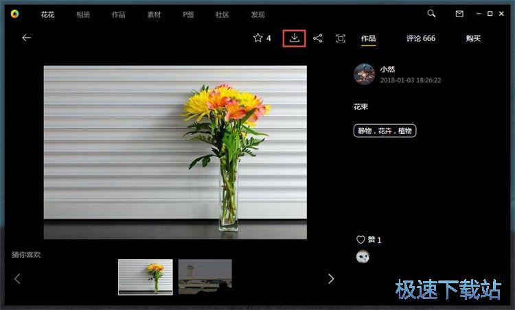 下载图片/查看图片教程