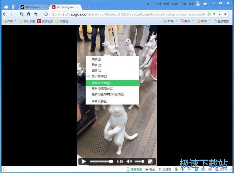 下载无水印视频教程