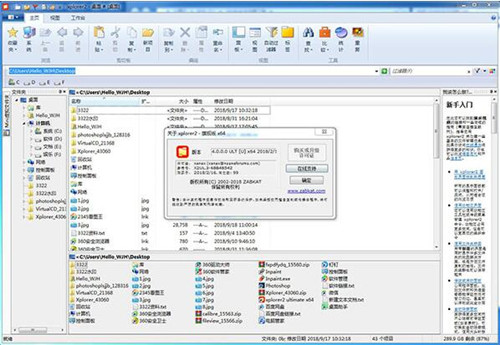 xplorer2安装破解教程
