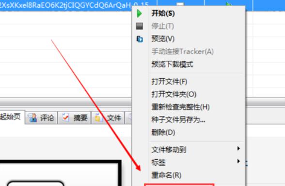 bt种子制作