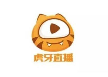 国内有几大直播平台？