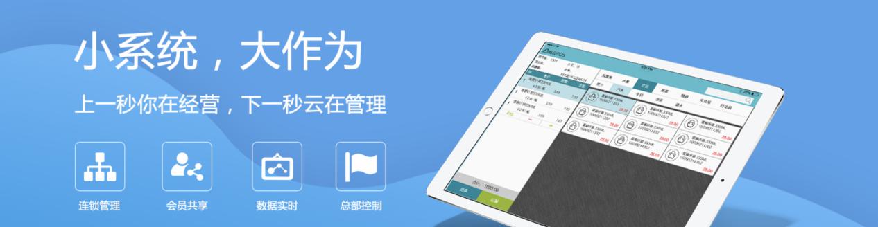 威云pos