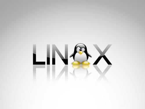 利用Linux命令行进行文本去重并按重复次数排序