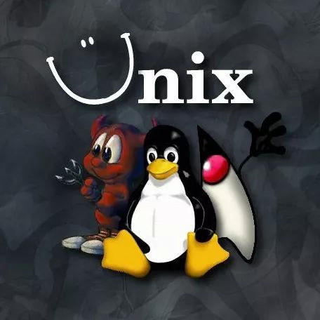 利用Linux命令行进行文本去重并按重复次数排序
