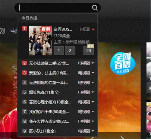 搜狐视频播放器下载使用教程