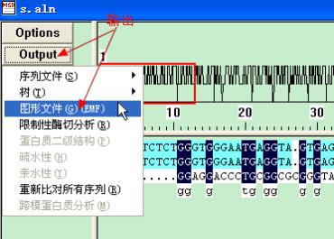 clustal序列比对教程