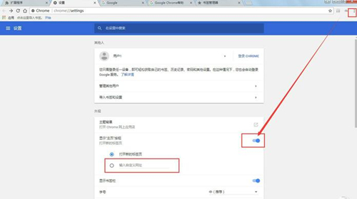 谷歌双核浏览器下载