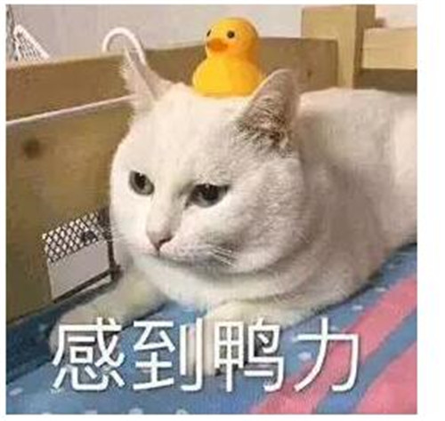 这些微信群昵称，看完不笑算我输！
