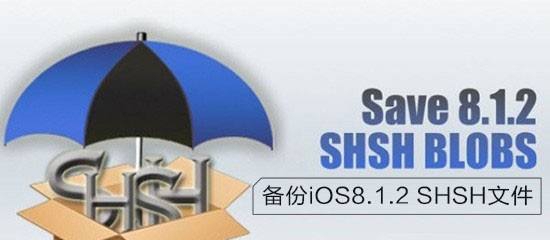 请求shsh失败