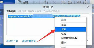 迅雷怎么下载种子