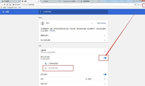 谷歌极速浏览器