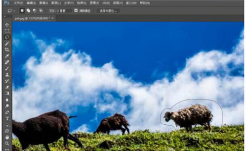 Adobe Photoshop CC2017简体中文版下载安装使用教程