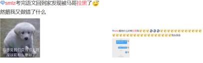 图：SNG2：0轻取TES