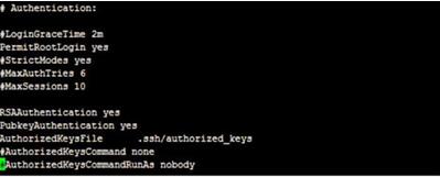 图：Docker的简介及与SSH连接