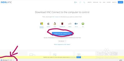图：VNC的安装设置