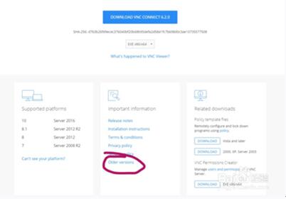 图：VNC的安装设置