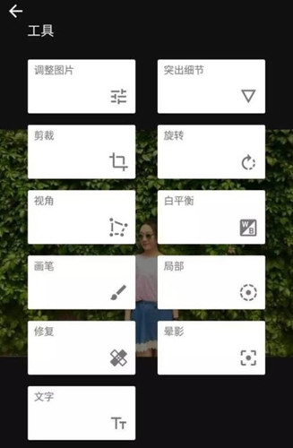 图：小红书