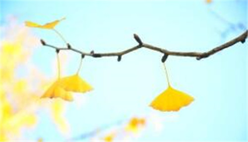 Linux cron执行mysql失败（编码问题）教程