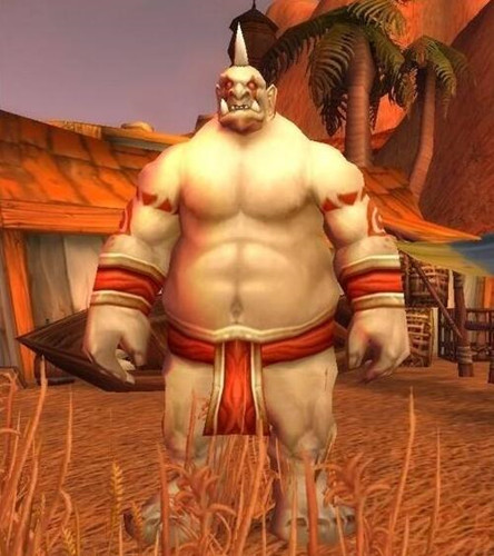 魔兽世界怀旧服攻略