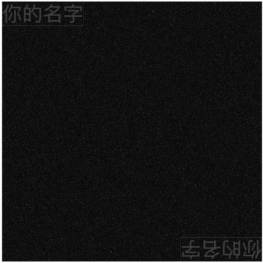 盲水印