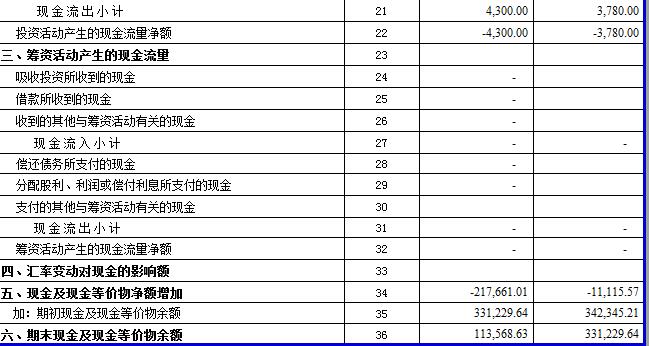现金流量表模板