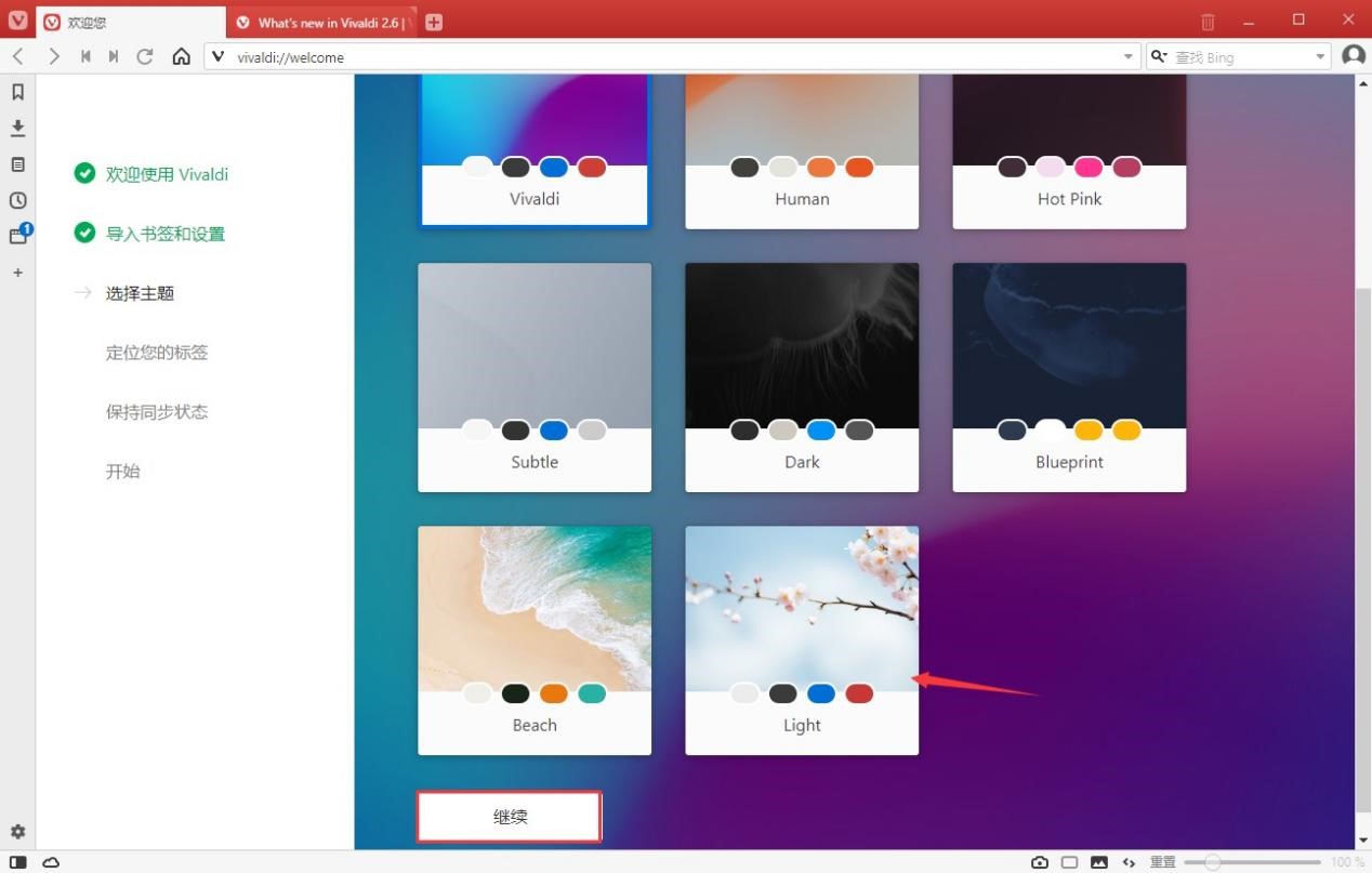 Vivaldi浏览器新手设置的各项使用技巧
