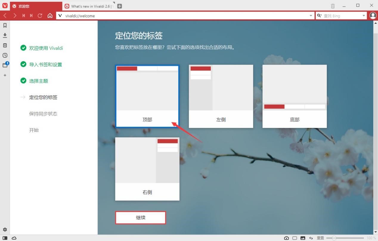 Vivaldi浏览器新手设置的各项使用技巧