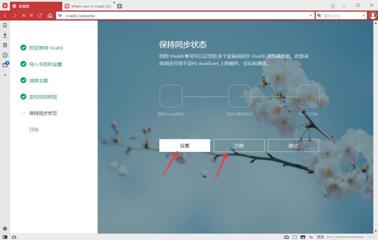 Vivaldi浏览器新手设置的各项使用技巧