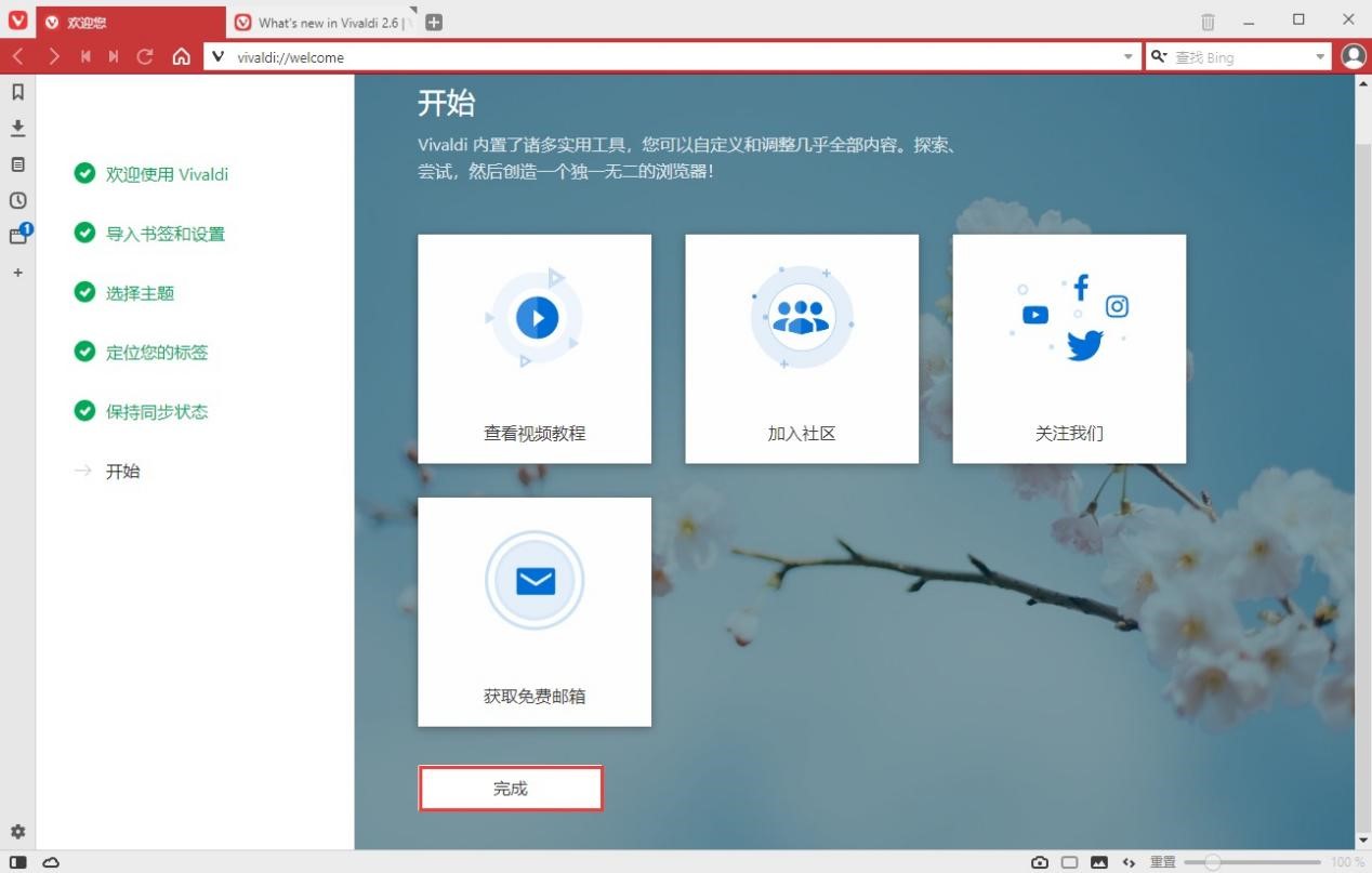 Vivaldi浏览器新手设置的各项使用技巧