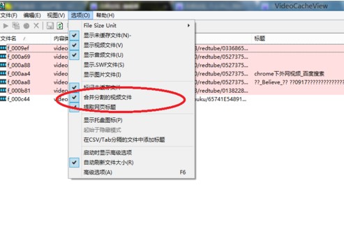 使用VideoCacheView收集缓存文件教学