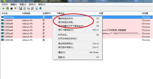 使用VideoCacheView收集缓存文件教学