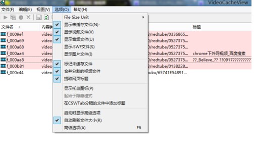 使用VideoCacheView收集缓存文件教学