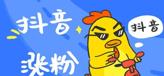 抖音加粉软件介绍和功能介绍大全