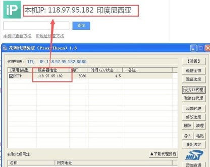 教你如何使用花刺代理进行ip代理
