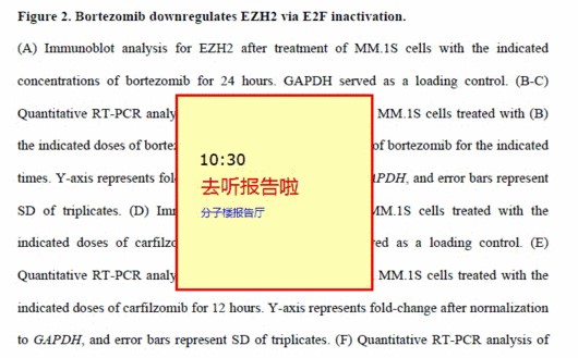 Stickies电子便利贴使用介绍