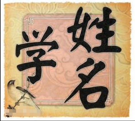 在线测名软件（吉名周易免费测名软件）使用介绍