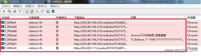 VideoCacheView视频缓存提取工具说明介绍