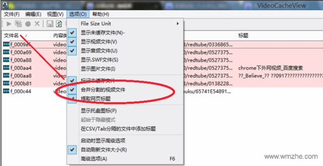 VideoCacheView视频缓存提取工具说明介绍