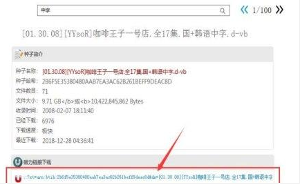 怎么使用万能磁力搜索引擎