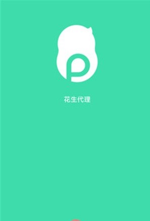 花生代理电脑版如何安装？花生代理安装教学