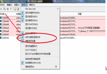 videocacheview安装教程介绍