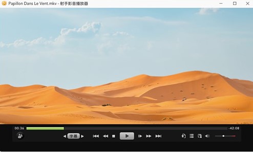 射手影音播放器怎么样？射手播放器安装教学