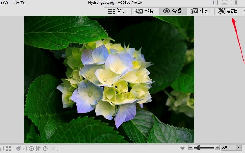 ACDSee使用教程，ACDSee编辑图片的详细方法