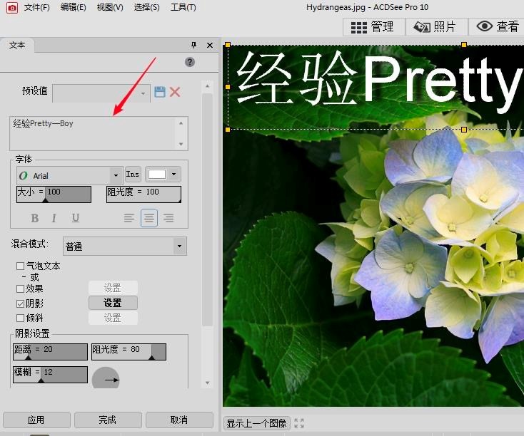 ACDSee使用教程，ACDSee编辑图片的详细方法