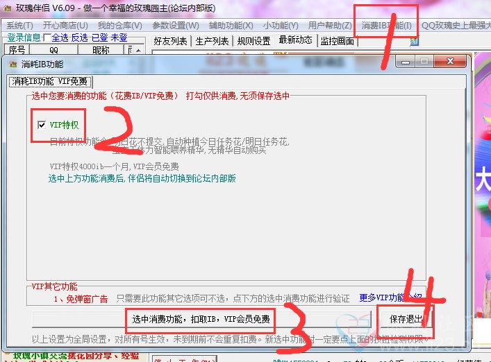 QQ玫瑰小镇伴侣启动VIP功能方法