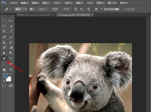 Photoshop7.0怎么用？Photoshop7.0使用帮助